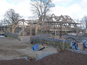 Oak Frame [1/8]