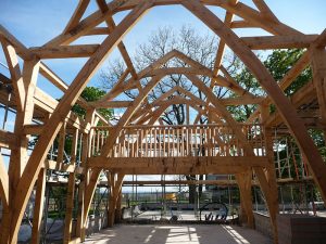 Oak Frame [3/8]